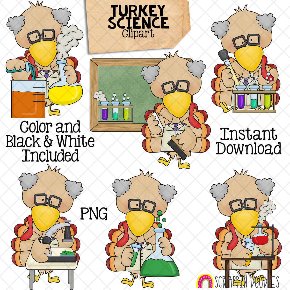 Turkey ClipArt - Science Turkeys Clip Art - Cute School Turkeys Graphics - Instant Download - Hand Drawn PNG
