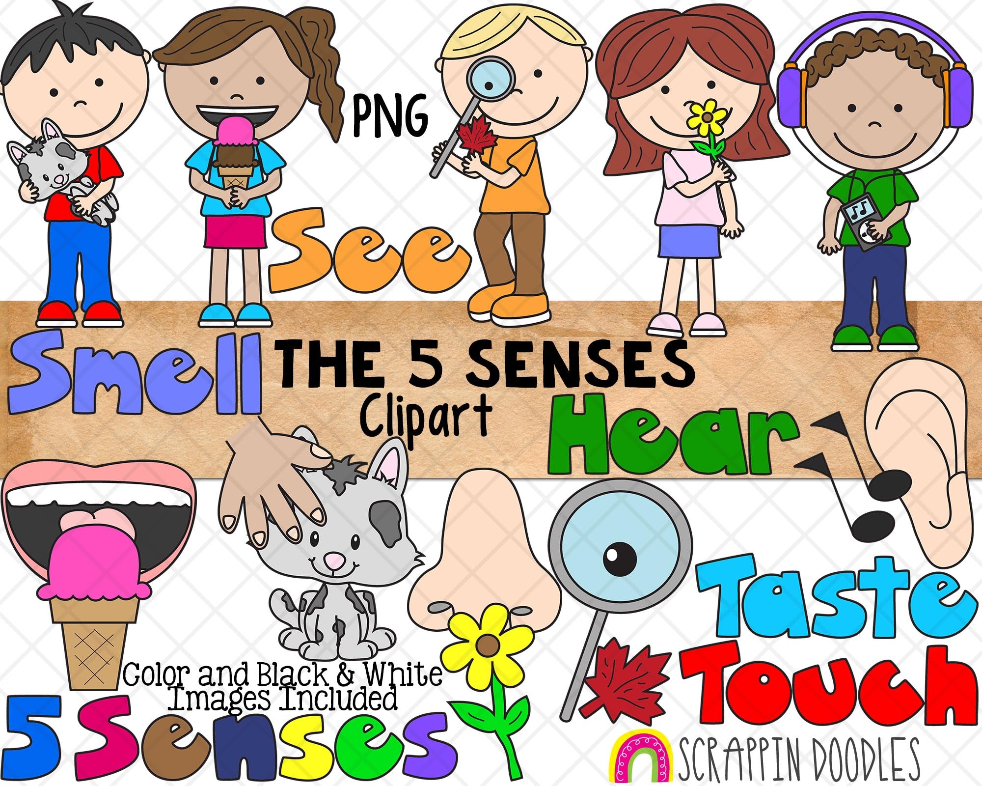 Clipart For The Five Senses clipart-for-the-five-senses