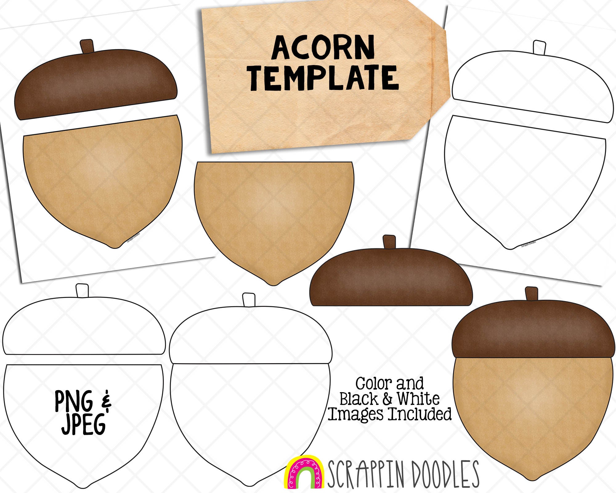 Acorn Template - Printable Acorn Pieces - Papercraft Templates – Scrappin  Doodles
