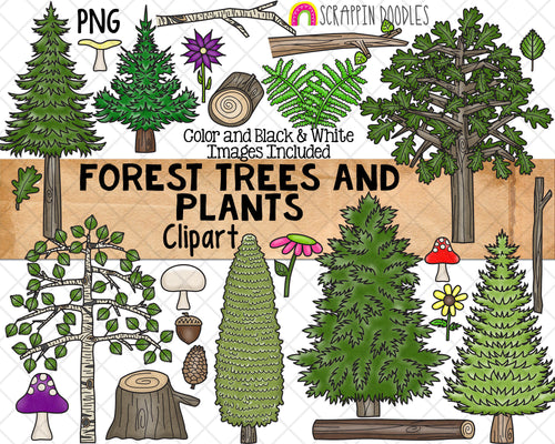 Forest Trees and Plants ClipArt - Birch Tree - Pine Tree - Cedar - Mushrooms - Woodlands -Logs - Commercial Use PNG