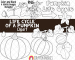 Life Cycle Clip Art - Pumpkin Life Cycle Clip Art - Squash Life Cycle ClipArt - Seedling ClipArt - Sprout ClipArt - Growing Pumpkins ClipArt