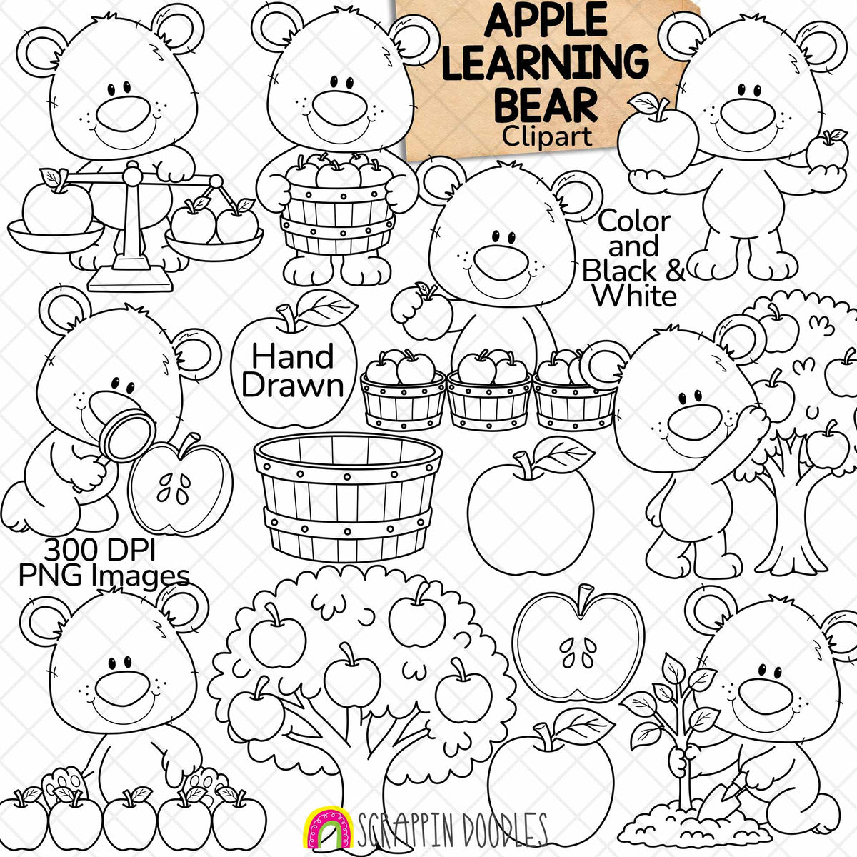 Fall Apple Learning Bear clipart featuring cute brown bears counting, weighing, picking, and sorting red, green, and yellow apples, with apple baskets, an apple tree, and apple halves. Hand-drawn fall learning PNG graphics by Scrappin Doodles.
