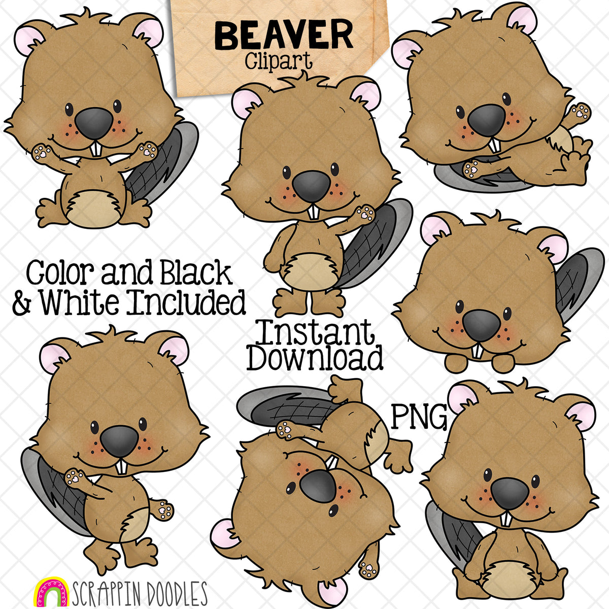Beaver ClipArt - Beavers Posing - Different Poses - Peeking - Laying - Cartwheel - Sitting - Woodland Beavers - Commercial Use