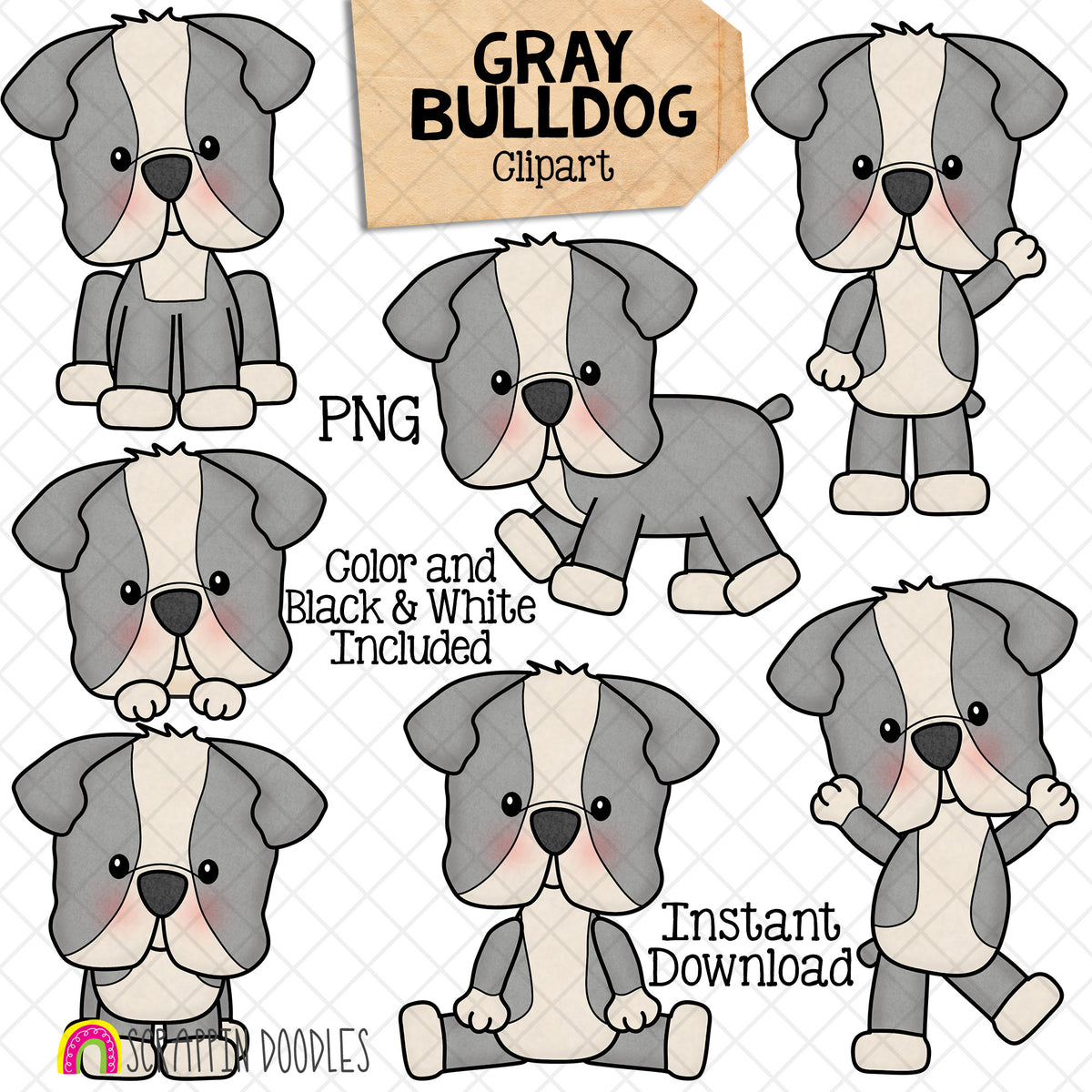 Gray Bulldog ClipArt - Bull Dogs - Puppy - Puppies - Cute - Posing Dog - CU - PNG Sublimation