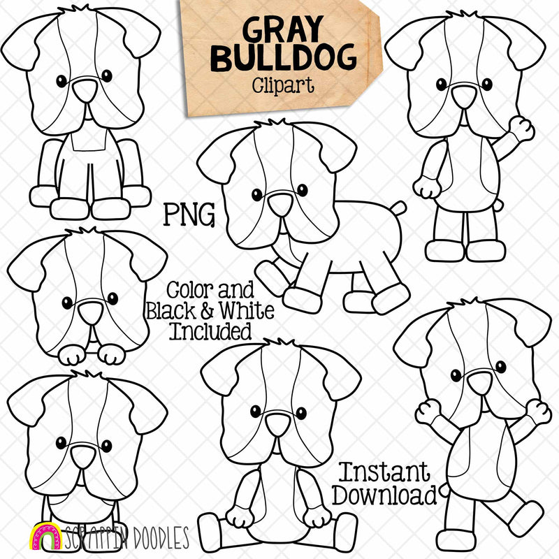 Gray Bulldog ClipArt - Bull Dogs - Puppy - Puppies - Cute - Posing Dog - CU - PNG Sublimation