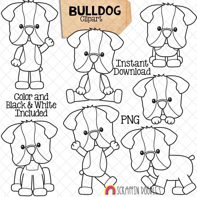 Bulldog ClipArt - Bull Dogs - Puppy - Puppies - Cute - Posing Dog - CU - PNG Sublimation