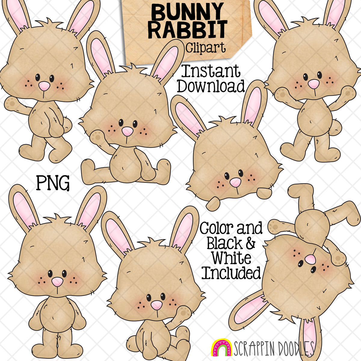 Bunny Clip Art - Rabbits In Different Poses - Baby Bunnies - Commercial Use - PNG