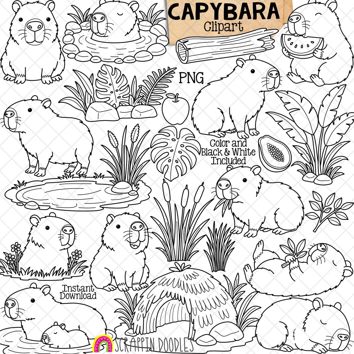 Capybara ClipArt - Cute Posing Capybaras - Habitat Graphics- Commercial Use - PNG