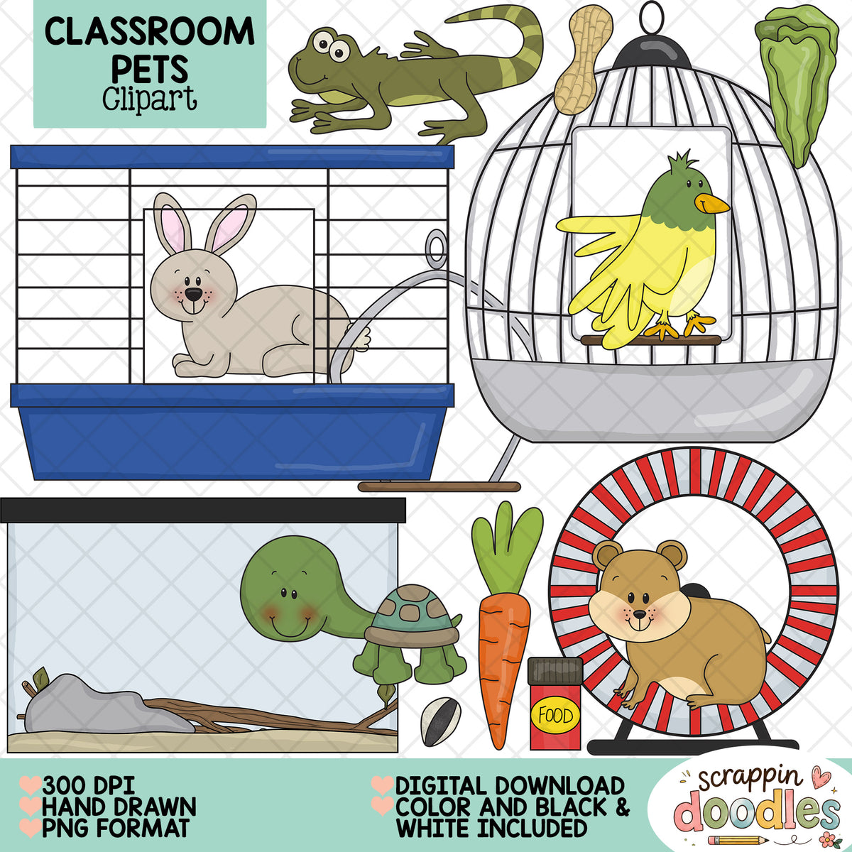 A digital clipart set titled 'Classroom Pets Clipart' showing cartoon animal illustrations and accessories: a green alligator, gray rabbit in a blue cage, yellow-green bird in a white cage, green turtle with carrot, hamster on a red-and-white wheel, and a small food jar. Text notes 300 DPI hand-drawn PNG/PNG format and digital download color and black & white included.