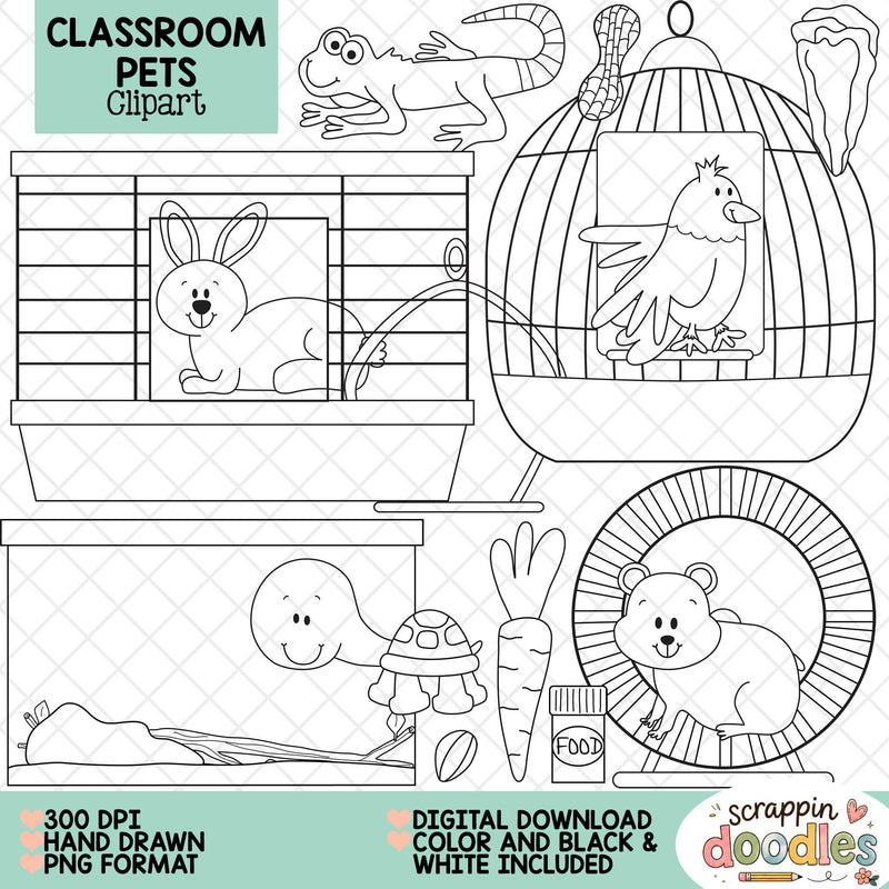 A digital clipart preview sheet titled 'CLASSROOM PETS Clipart' showing black-and-white line drawings of animals in classroom-themed settings: a rabbit in a cage, a bird in a birdhouse, a turtle with a carrot, and a hamster in a wheel. Text at the bottom says 300 DPI, hand drawn, PNG format, digital download, color and black & white included.