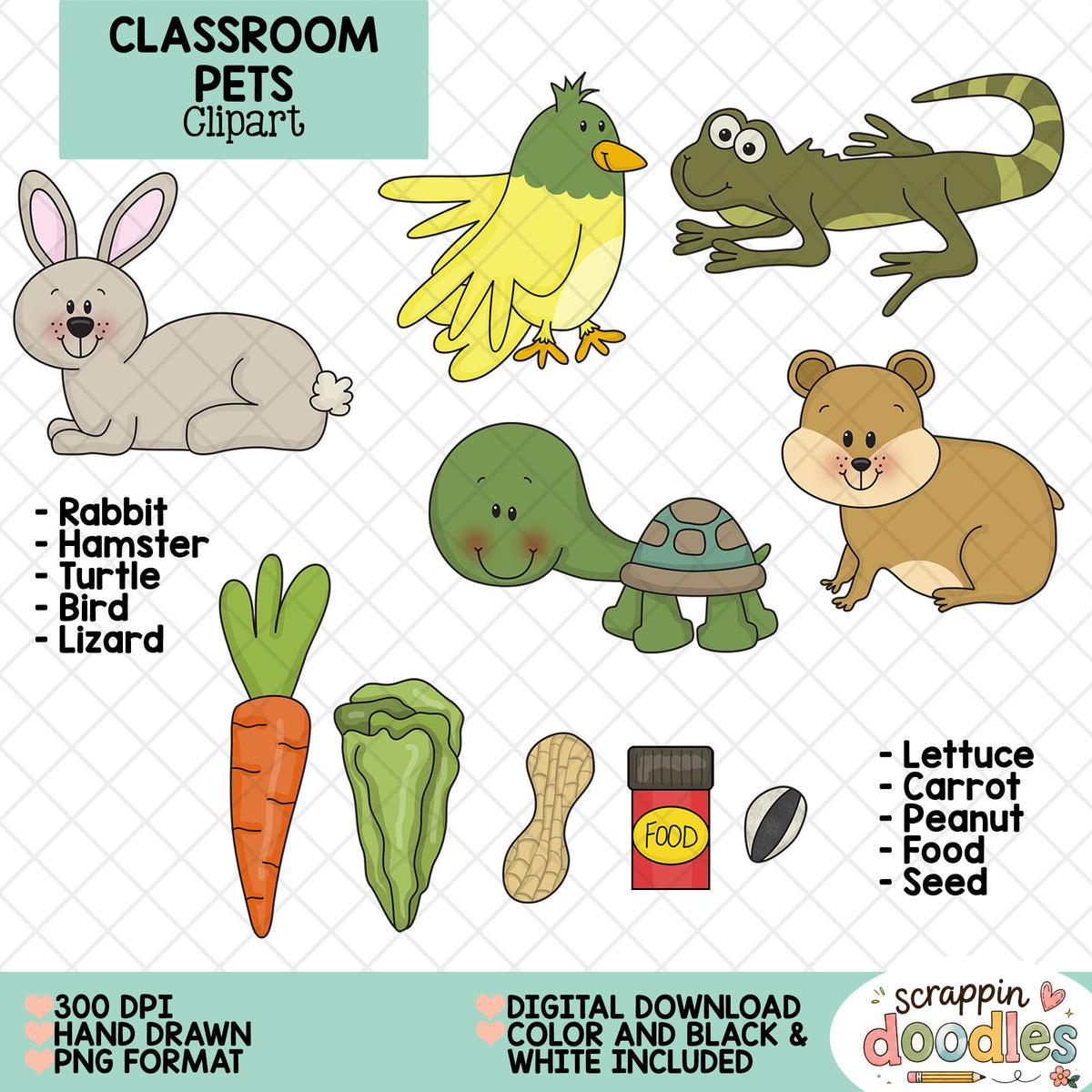 Digital clipart set titled 'Classroom Pets' featuring cartoon illustrations of a rabbit, bird, lizard, turtle, hamster, carrot, lettuce, peanut, food jar, and seed, with text noting 300 DPI, hand drawn PNG format, and digital download color and black & white included.