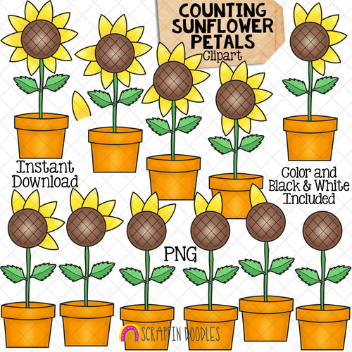 Counting Sunflowers ClipArt - Autumn Sunflower Petal Counting - Seasonal Math Graphics - Commercial Use PNG