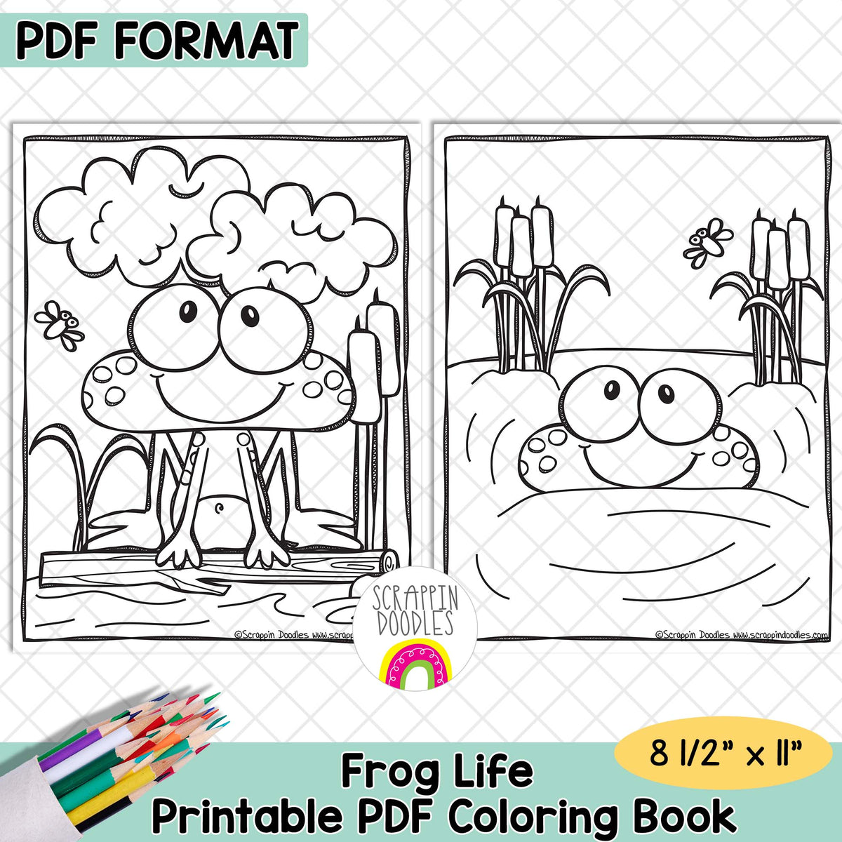 Frog Life Coloring Book - Frog Coloring Pages - Printable PDF Coloring Book