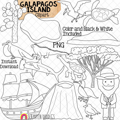 Galapagos Islands ClipArt - Charles Darwin - Long Necked Tortoise - Blue Footed Booby - Finch - Iguana - Sea Turtle - Frigate Bird - Hammerhead Shark - Albatross - Cactus - Tree - Volcano - Ship - Boat - Island - Commercial Use PNG