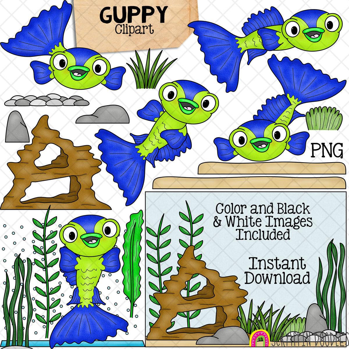 Guppy ClipArt - Guppies - Blue Grass Guppy - Aquarium Fish - Plants - Decor - Gravel - Bubble Bar - Commercial Use - Graphics - PNG - Hand Drawn PNG