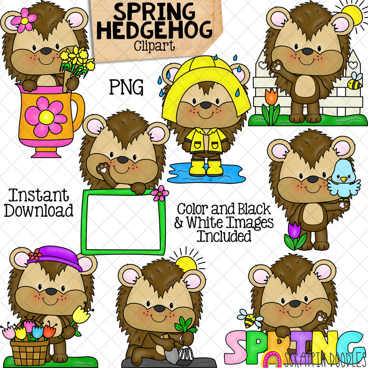 Spring Hedgehogs ClipArt - Cute Hedgehogs Posing Graphics - Rain Coat - Tulips - Tea Cup - Card Making - Paper Crafts - CU - PNG