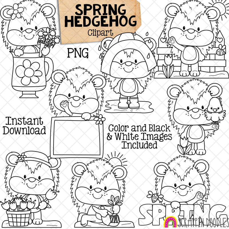 Spring Hedgehogs ClipArt - Cute Hedgehogs Posing Graphics - Rain Coat - Tulips - Tea Cup - Card Making - Paper Crafts - CU - PNG