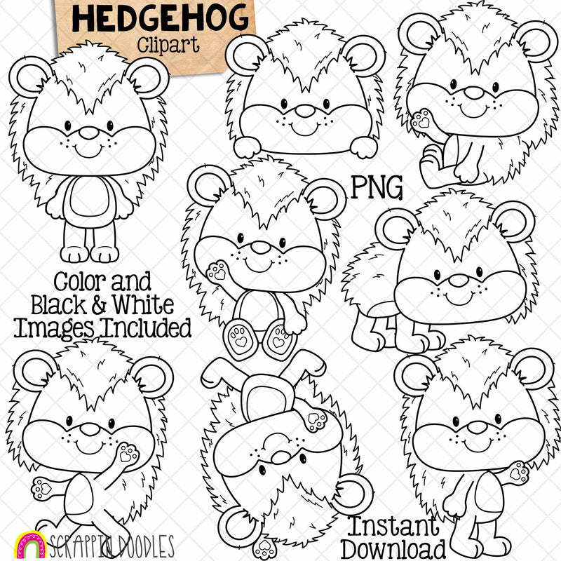 Hedgehog ClipArt - Cute Hedgehogs Posing Graphics - Card Making - Digital Paper Crafts - Commercial Use - PNG
