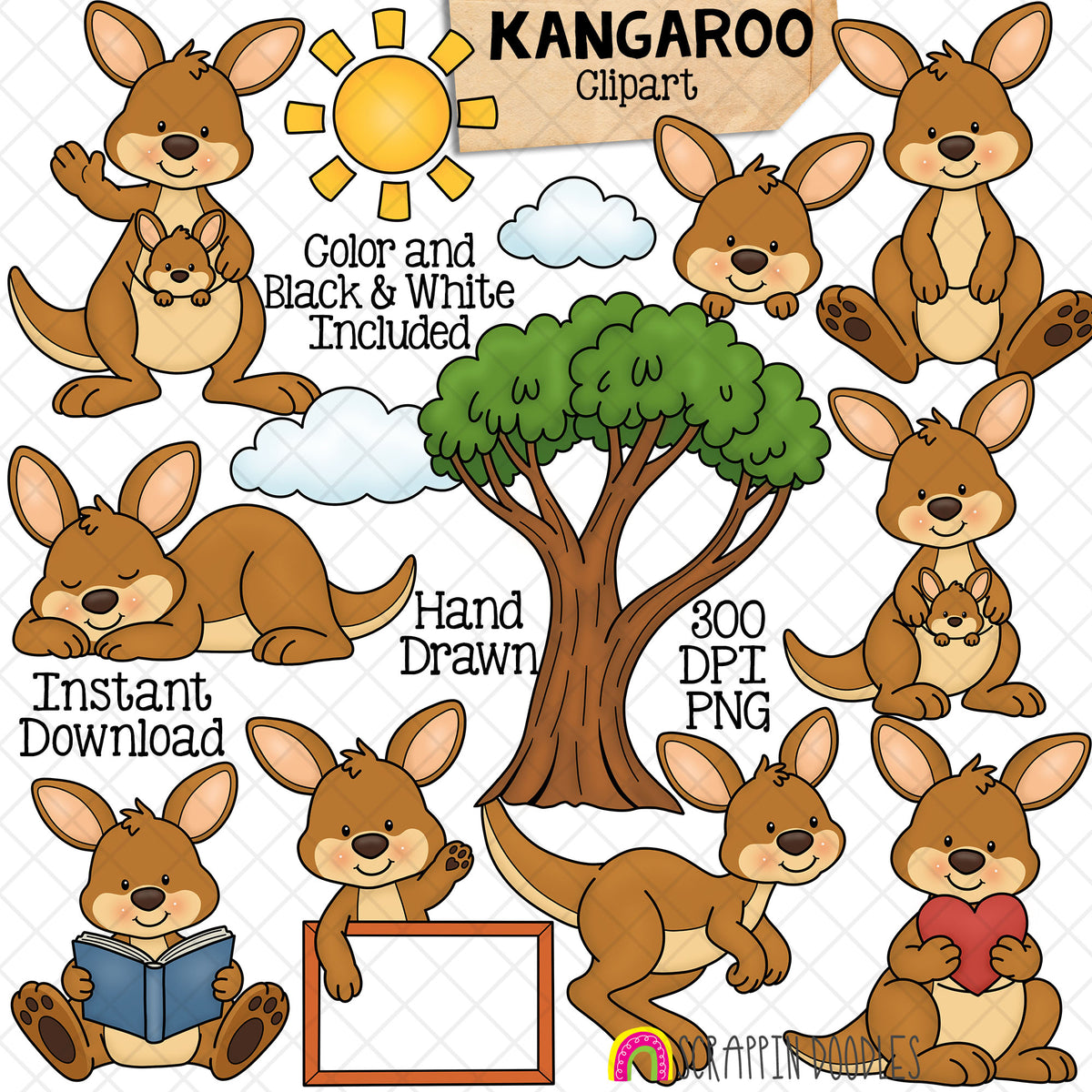 Hand drawn kangaroo clipart set with 13 Australian animal designs in color and black and white PNG for teachers and classroom resources