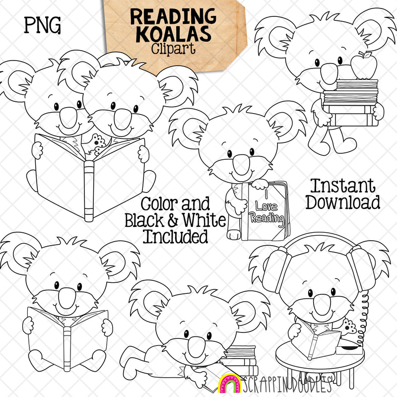 Koala ClipArt - Koala Bears Reading Books Graphics - Commercial Use PNG