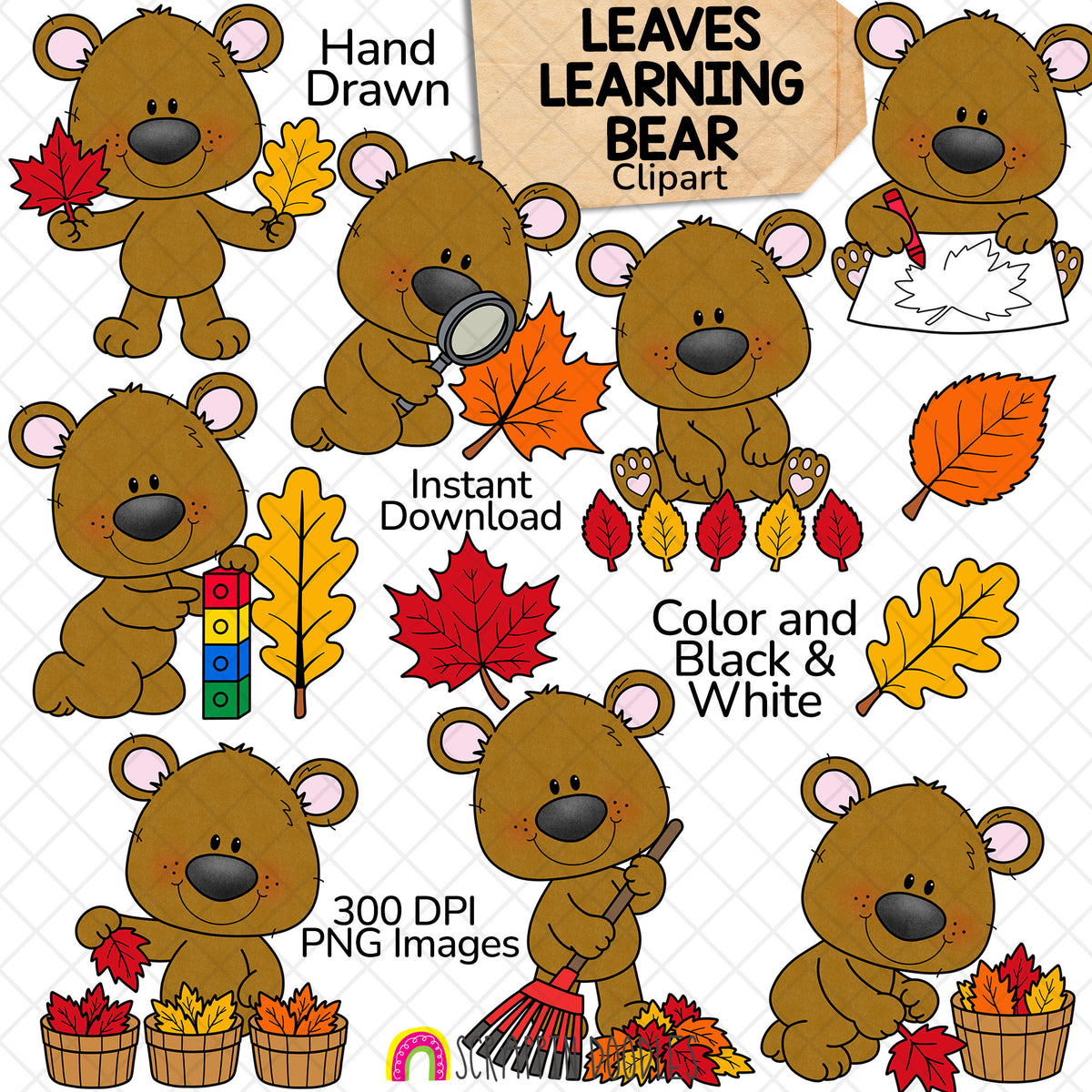 Fall Leaves Learning Bear clipart featuring cute brown bears collecting, sorting, measuring, examining, and raking colourful autumn leaves. Includes red maple leaves, orange and yellow leaves, leaf baskets, and fall learning activities by Scrappin Doodles.