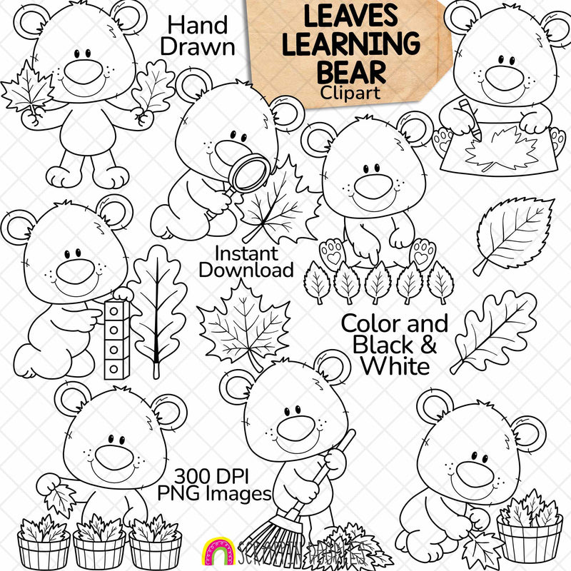 Fall Leaves Learning Bear clipart featuring cute brown bears collecting, sorting, measuring, examining, and raking colourful autumn leaves. Includes red maple leaves, orange and yellow leaves, leaf baskets, and fall learning activities by Scrappin Doodles.