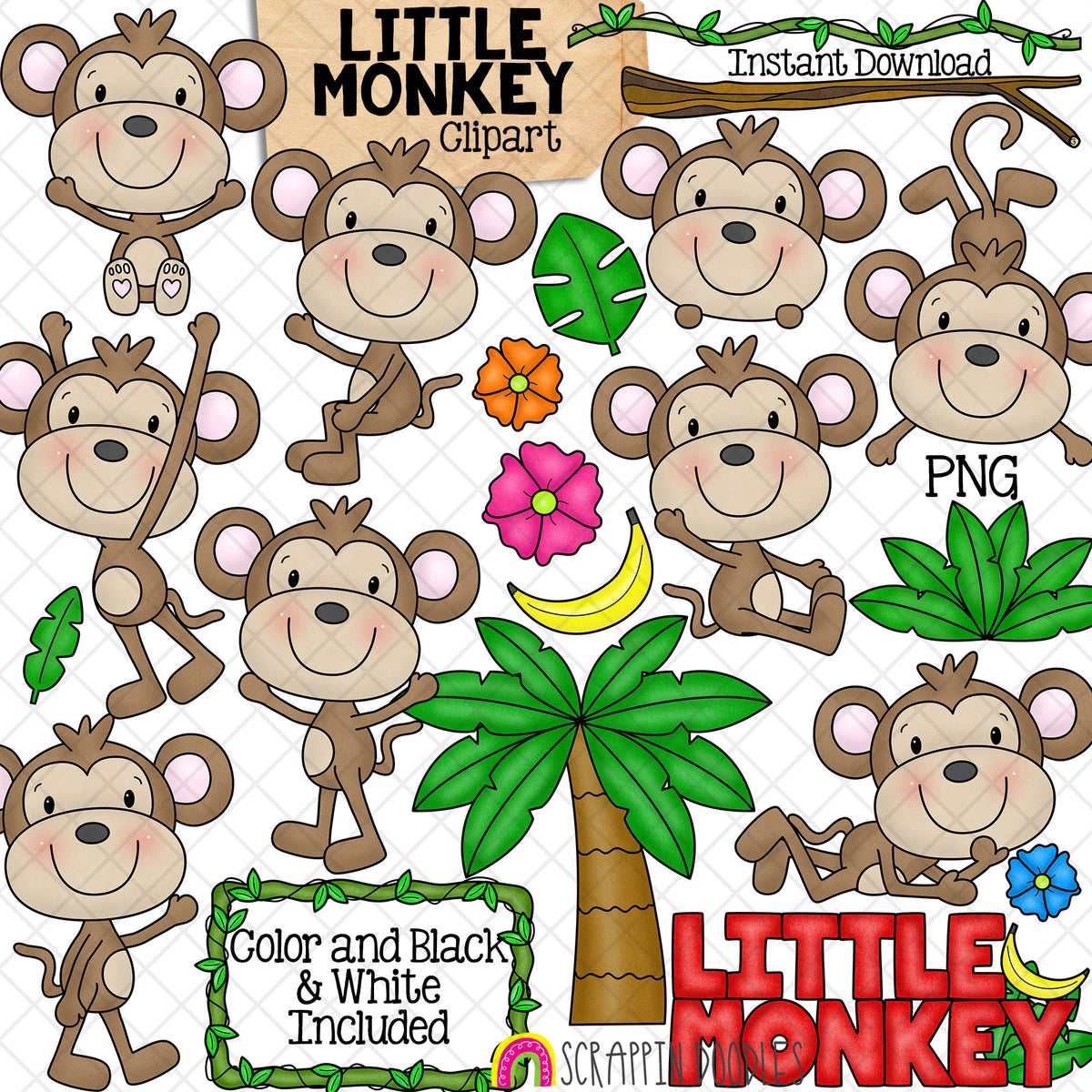 Monkey Clip Art - Cute Little Baby Monkeys - Jungle Animals - Banana - Sitting - Swinging - Vine Border - Commercial Use PNG Sublimation