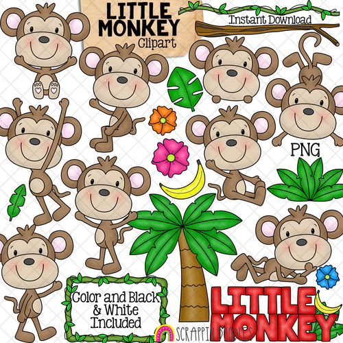 Monkey Clip Art - Cute Little Baby Monkeys - Jungle Animals - Banana - Sitting - Swinging - Vine Border - Commercial Use PNG Sublimation