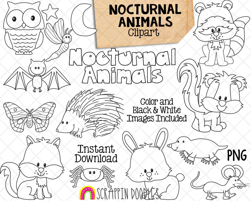 Nocturnal Animals ClipArt - Porcupine - Moth - Mole - Skunk - Commercial Use