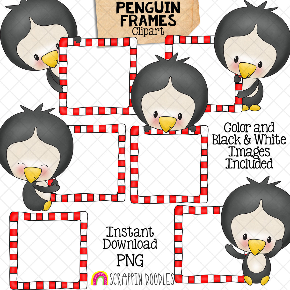 Penguin Frames ClipArt - Penguins Holding Frames - Winter Baby Penguin - Penguins Posing - Commercial Use PNG