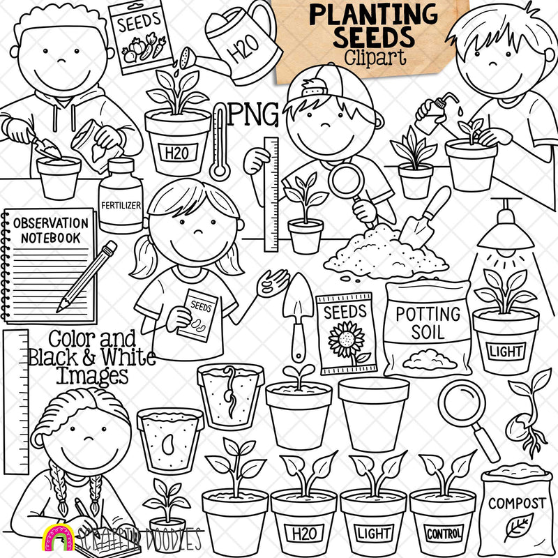 Planting Seeds ClipArt - Kids Science Experiments - Growing Plants - CU PNG Sublimation