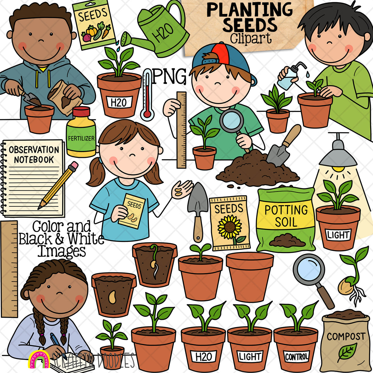 Planting Seeds ClipArt - Kids Science Experiments - Growing Plants - CU PNG Sublimation