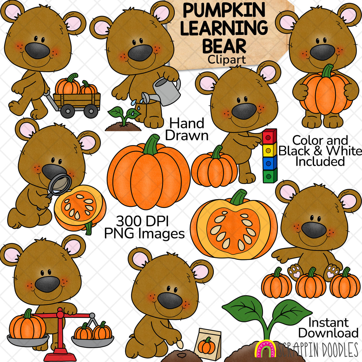 Brown bears planting, counting, measuring and weighing pumpkins, with a pumpkin wagon, cut pumpkin and green sprout.