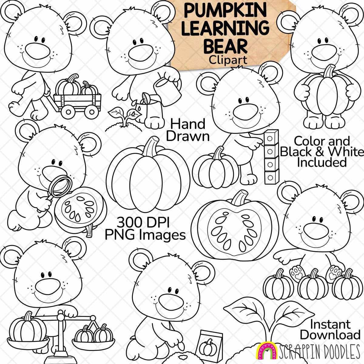 Brown bears planting, counting, measuring and weighing pumpkins, with a pumpkin wagon, cut pumpkin and green sprout.