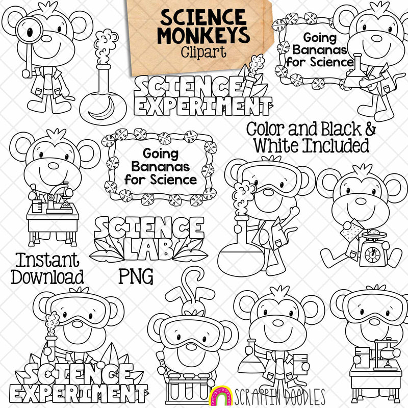 Monkey Clip Art - Monkeys Doing Science - Jungle Animals - School - Learning Science Experiments - Commercial Use PNG Sublimation