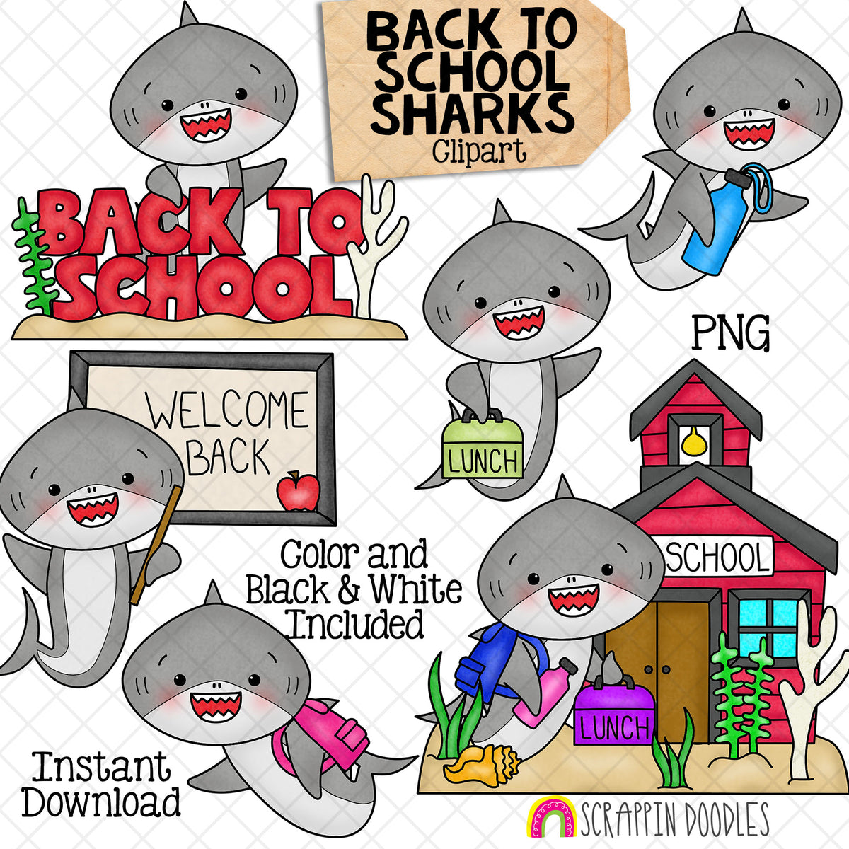Back to School Sharks Clip Art - Grey Shark Clipart - Backpack - Water Bottle - Lunch Bag - Shark School - Commercial Use PNG Sublimation