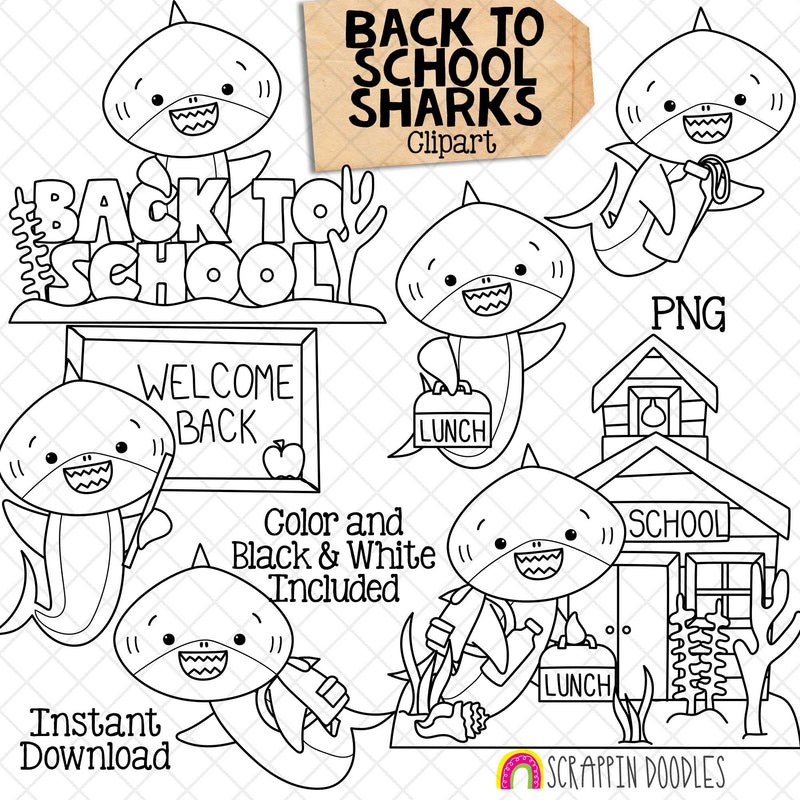 Back to School Sharks Clip Art - Grey Shark Clipart - Backpack - Water Bottle - Lunch Bag - Shark School - Commercial Use PNG Sublimation