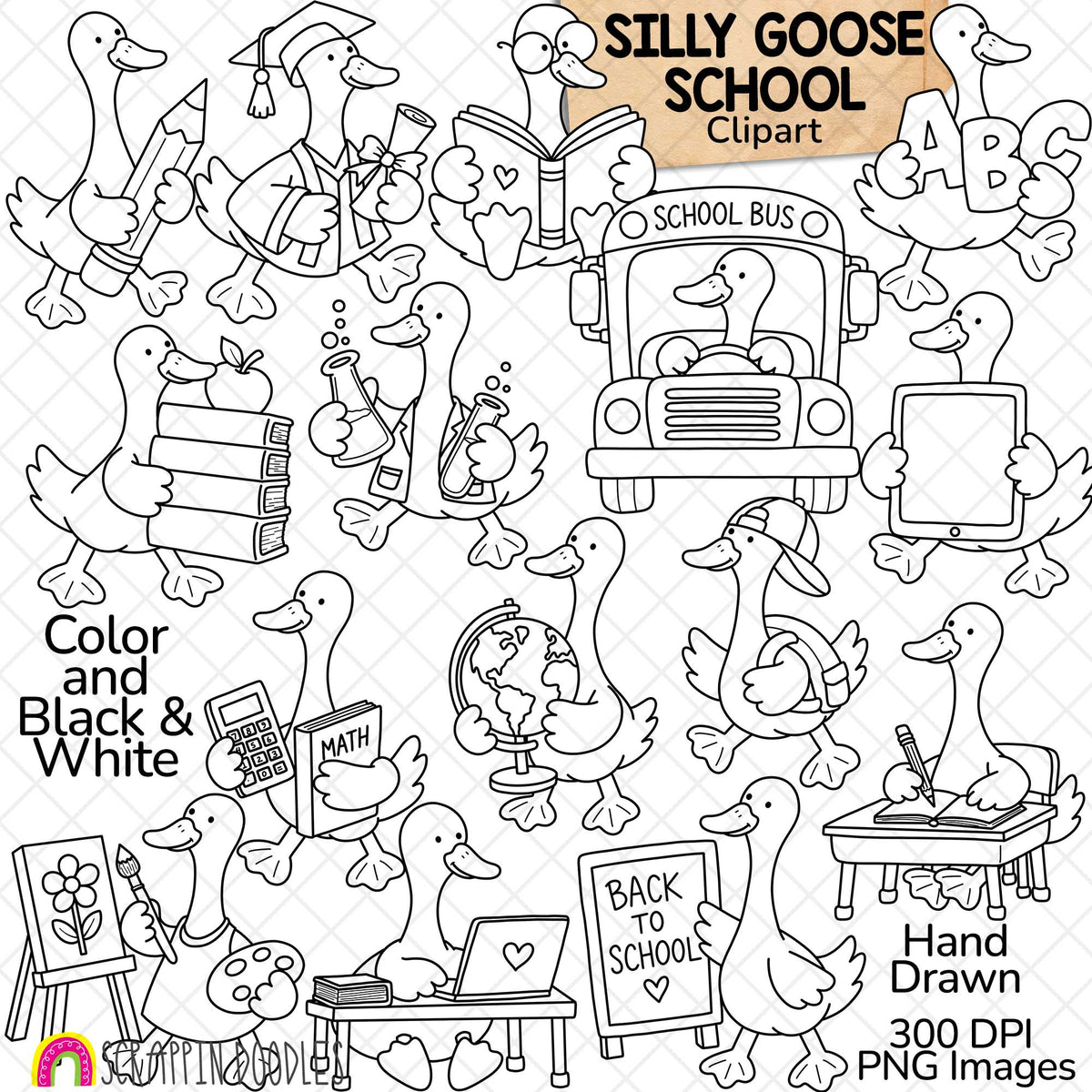 Silly Goose School Clipart featuring 15 cute geese reading, writing, painting, doing science experiments, riding a school bus and celebrating graduation. Includes 30 high-resolution PNG images, 15 color and 15 black and white, 300 DPI.