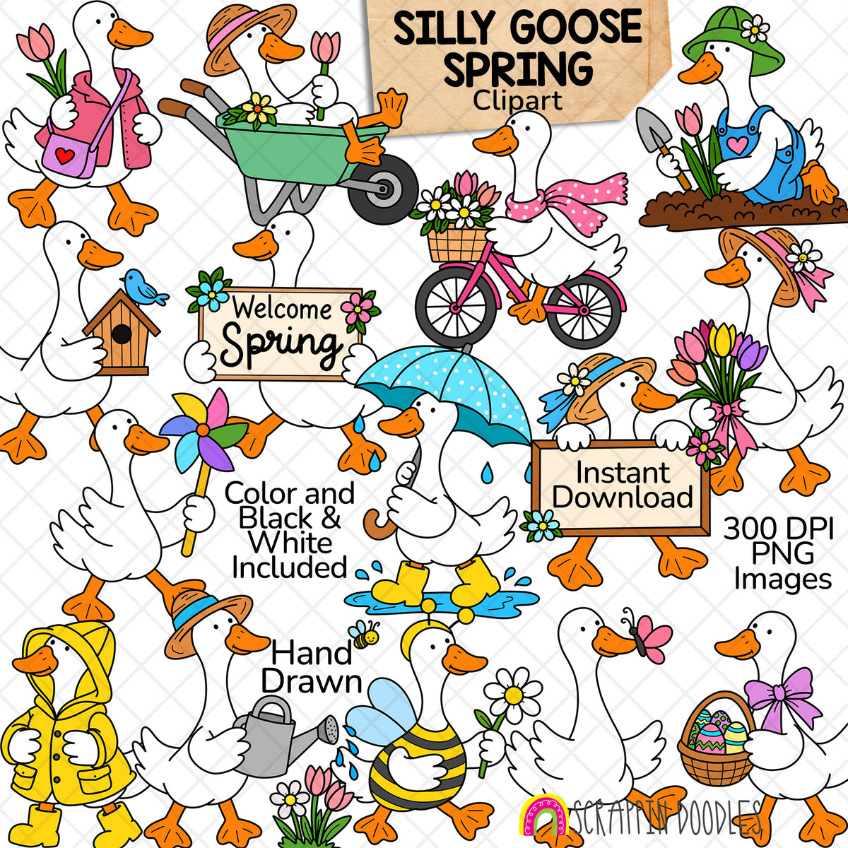 Spring Silly Goose clipart featuring hand-drawn geese gardening, planting flowers, riding a bicycle, splashing in rain puddles, wearing spring outfits, and celebrating Easter. Includes 15 color and 15 black and white PNG images.