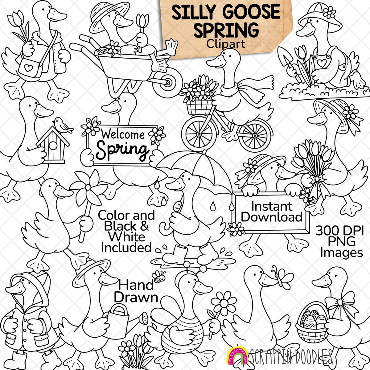 Spring Silly Goose clipart featuring hand-drawn geese gardening, planting flowers, riding a bicycle, splashing in rain puddles, wearing spring outfits, and celebrating Easter. Includes 15 color and 15 black and white PNG images.