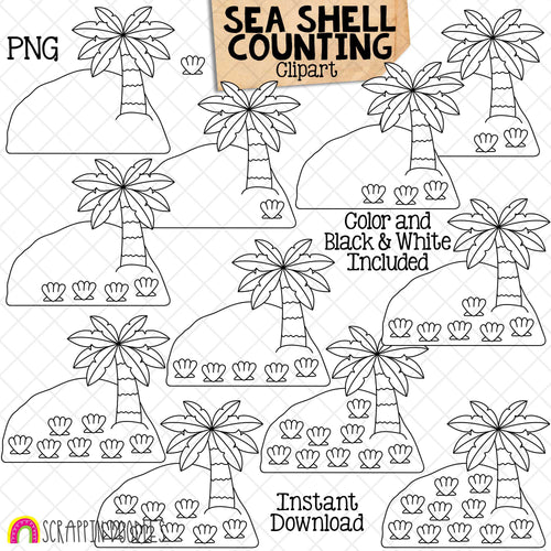 Counting Sea Shells on a Island ClipArt - Summer SeaShell Counting - Seasonal Math Graphics - Commercial Use PNG