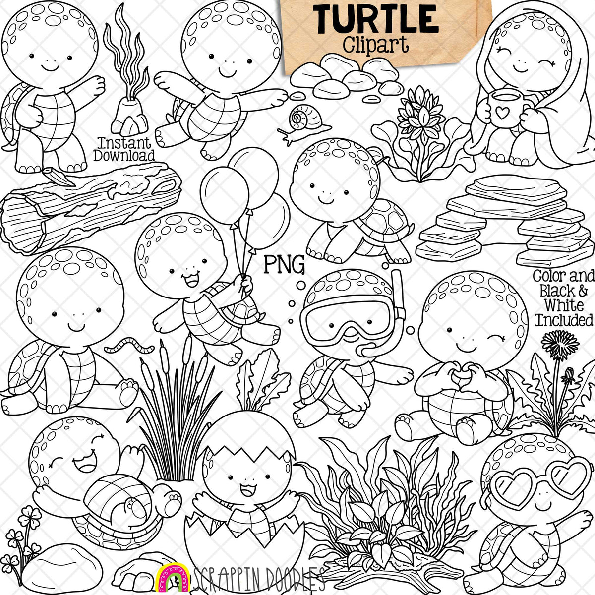 Turtle ClipArt - Cute Turtles Posing Graphics - Habitat - Commercial Use - PNG