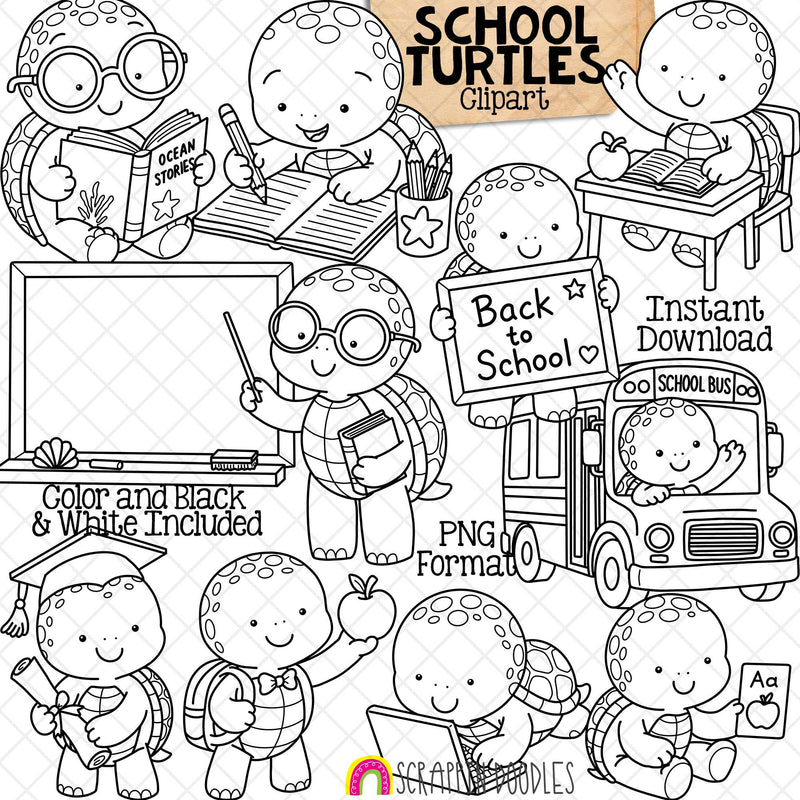 Turtle Clip Art - Sea Turtles Clipart - Cute Baby Turtle - School Themed - Commercial Use PNG Sublimation