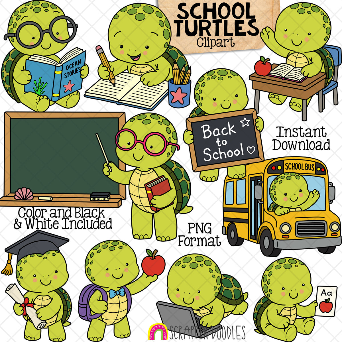 Turtle Clip Art - Sea Turtles Clipart - Cute Baby Turtle - School Themed - Commercial Use PNG Sublimation