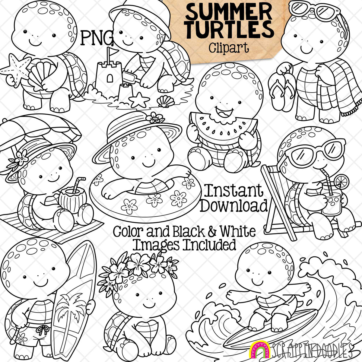 Summer Turtle Clip Art - Sea Turtles Clipart - Cute Baby Turtle - Commercial Use PNG Sublimation