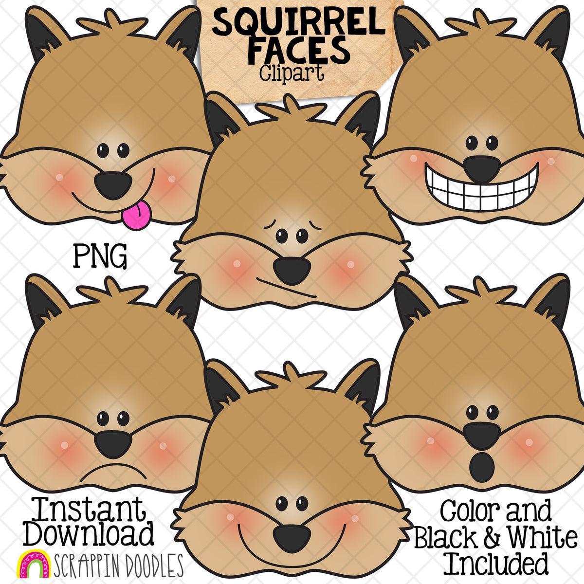 Fall Faces Bundle - Autumn Facial Expressions - Acorn - Apple - Leaf - Owl - Pumpkin - Scarecrow - Squirrel - Sunflower - CU PNG Sublimation