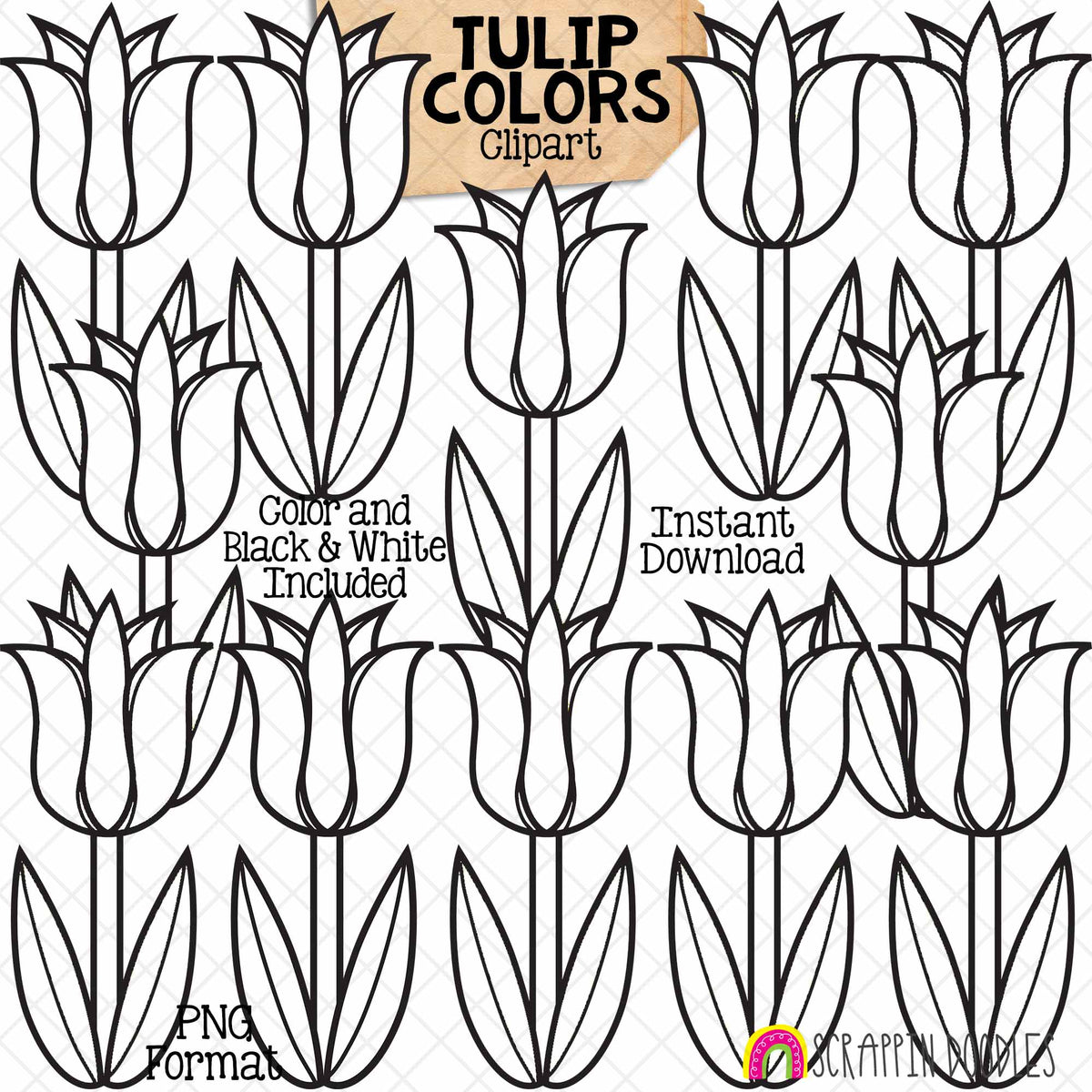 Tulip Colors ClipArt- Easter - Commercial Use - PNG - CU PNG Sublimation