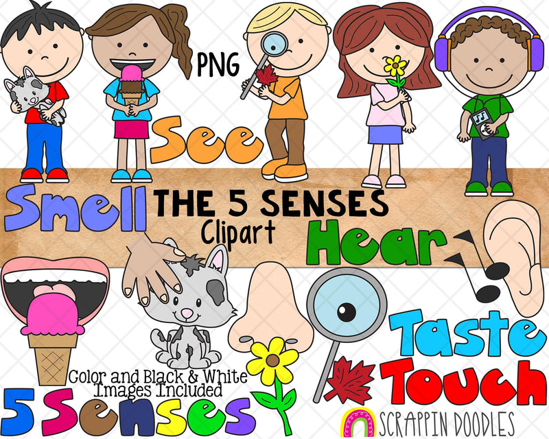 5 Senses Clip Art - Five Human Senses - Hear -See -Taste - Touch - Smell - Commercial Use PNG Sublimation