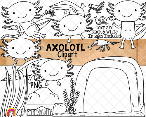 Axolotl ClipArt - Salamander - Amphibian - Commercial Use - Sublimation Graphics - Hand Drawn PNG