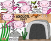 Axolotl ClipArt - Salamander - Amphibian - Commercial Use - Sublimation Graphics - Hand Drawn PNG